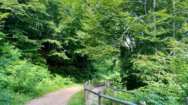 Ruta de la Cascada del Xiblu (PR. AS-269)