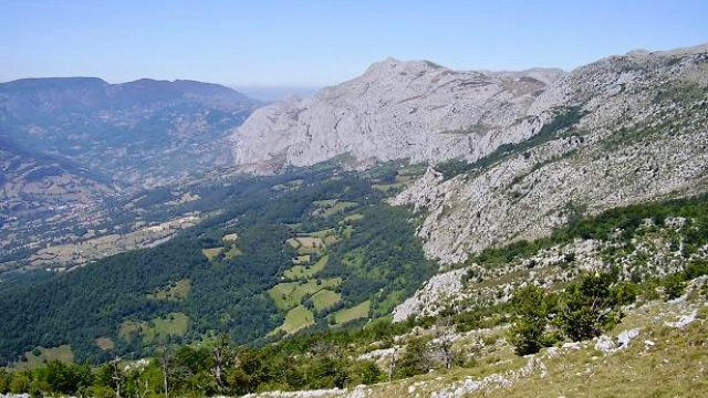 Braña de Los Fuexos