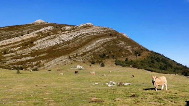 Braña de Cueiro