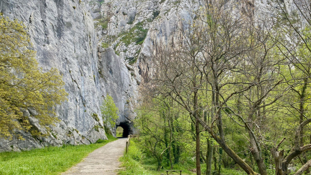 Senda del Oso de Teverga